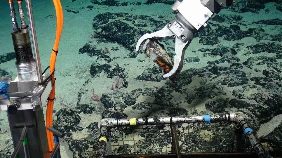 自2001年以来,国际海底管理局已向各种国际公司颁发了19个勘探许可.